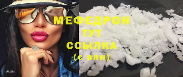 хмурый Ельня